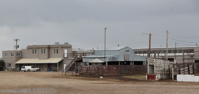 Historic stockyards remain a prominent landmark on the west side of Miles City.