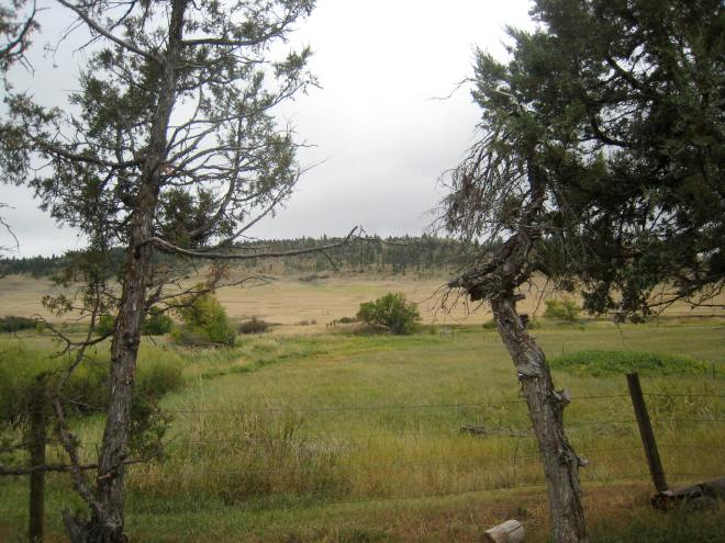 Rosebud Battlefield 035