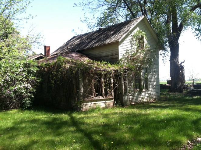 Early dwelling at Hesper Farm, 2011