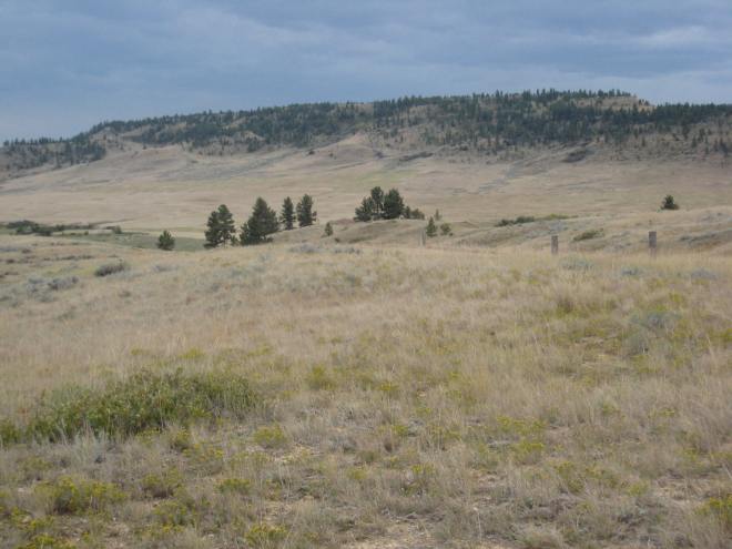 Rosebud Battlefield 026