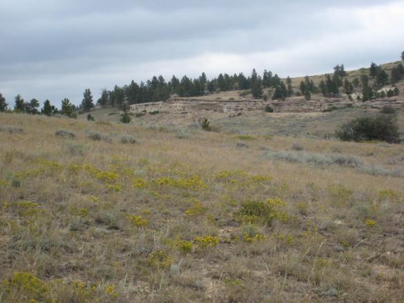 Rosebud Battlefield 028