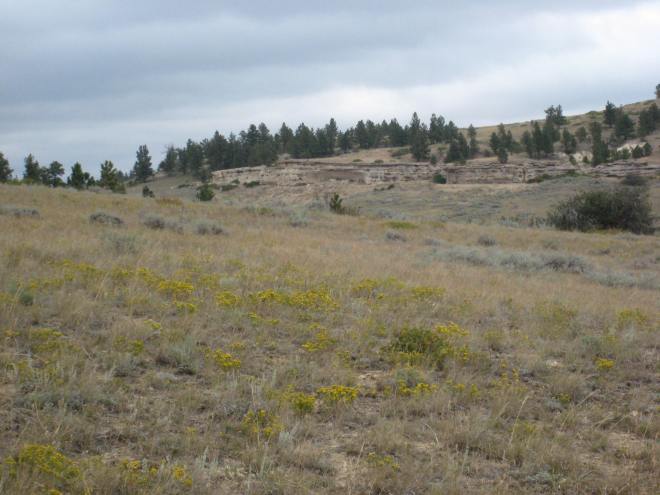 Rosebud Battlefield 028