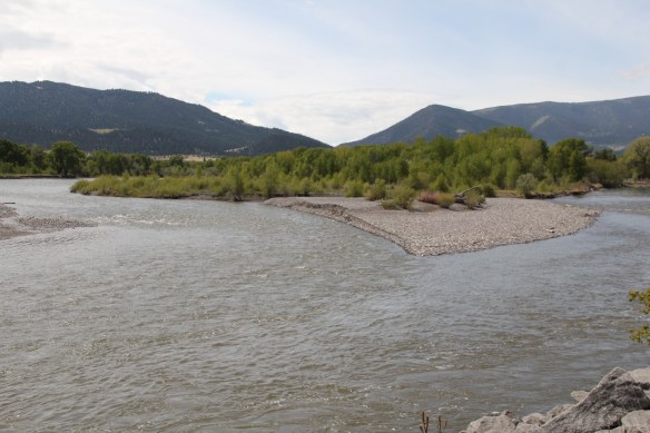 Park Co Livingston L&amp;C at Yellowstone 3