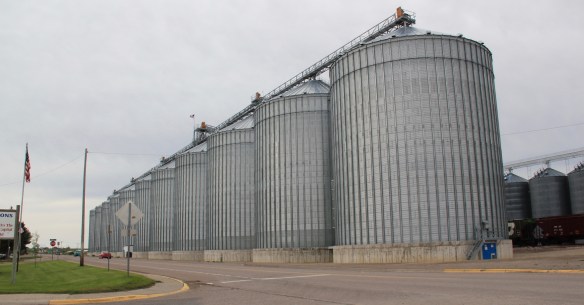 Teton Co Fairfield Busch barley