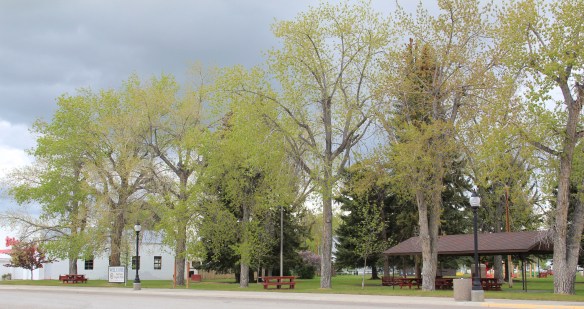 Teton Co Fairfield 9