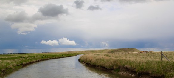 Teton Co Fairfield ditch south of town 1