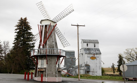 Gallatin Co Amsterdam