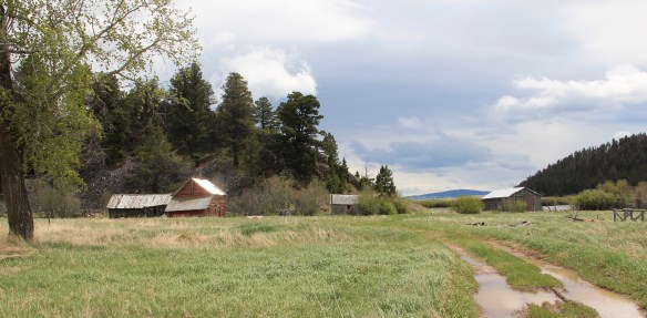 Fitzgerald Ranch, NR, MT 141 Powell Co 1