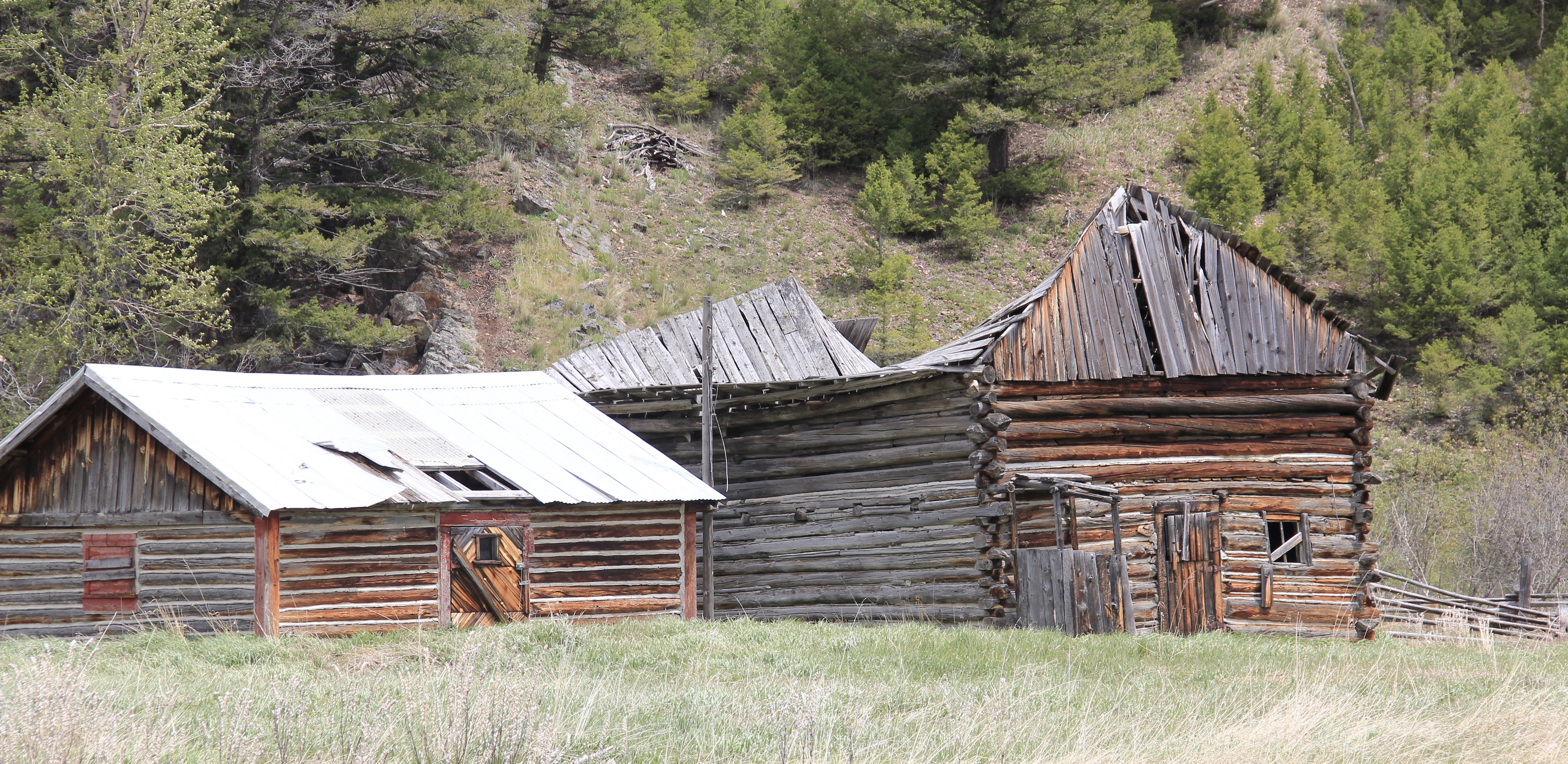 Fitzgerald Ranch, NR, MT 141 Powell Co 3 log