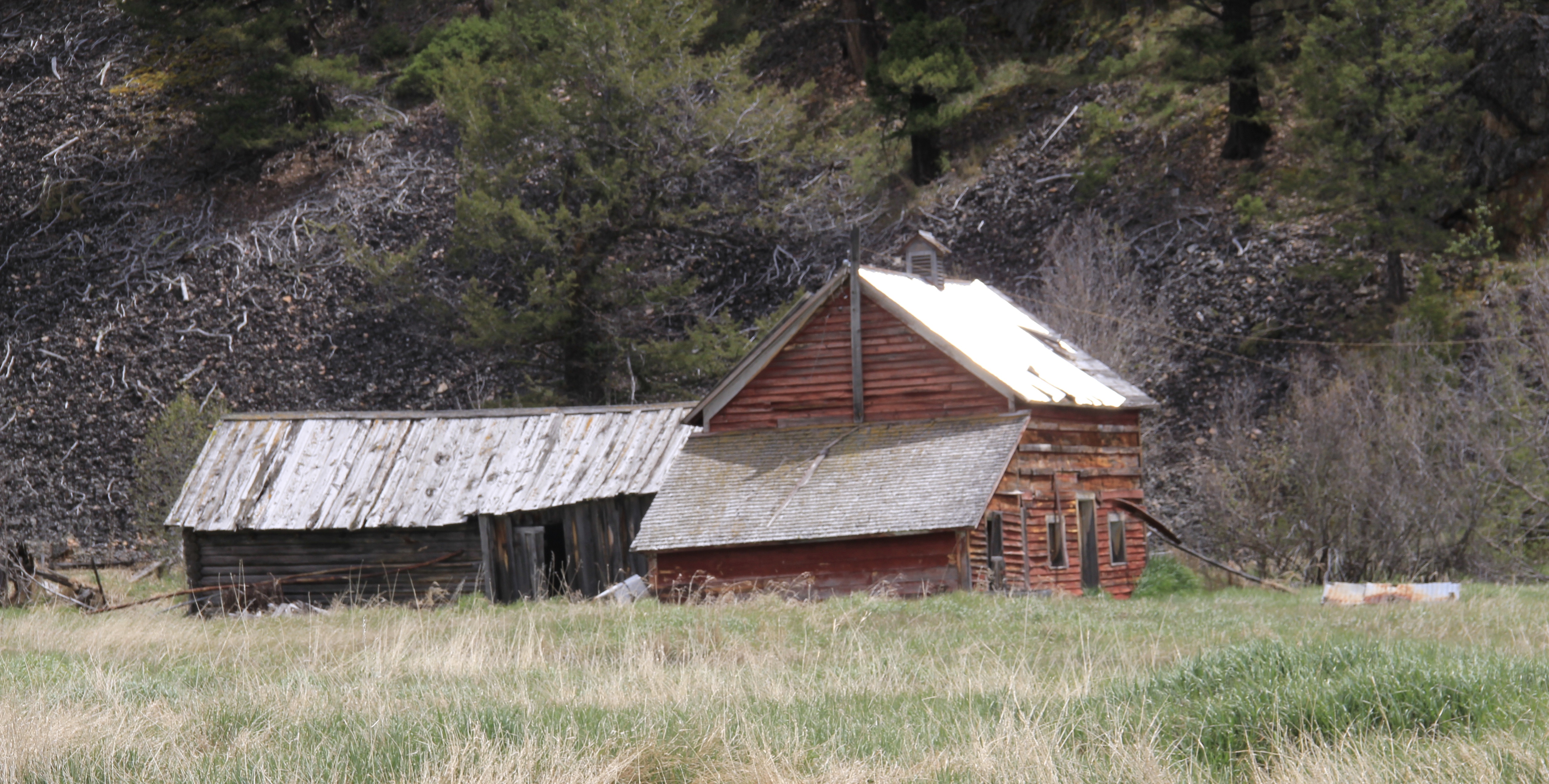 Fitzgerald Ranch, NR, MT 141 Powell Co 4 log