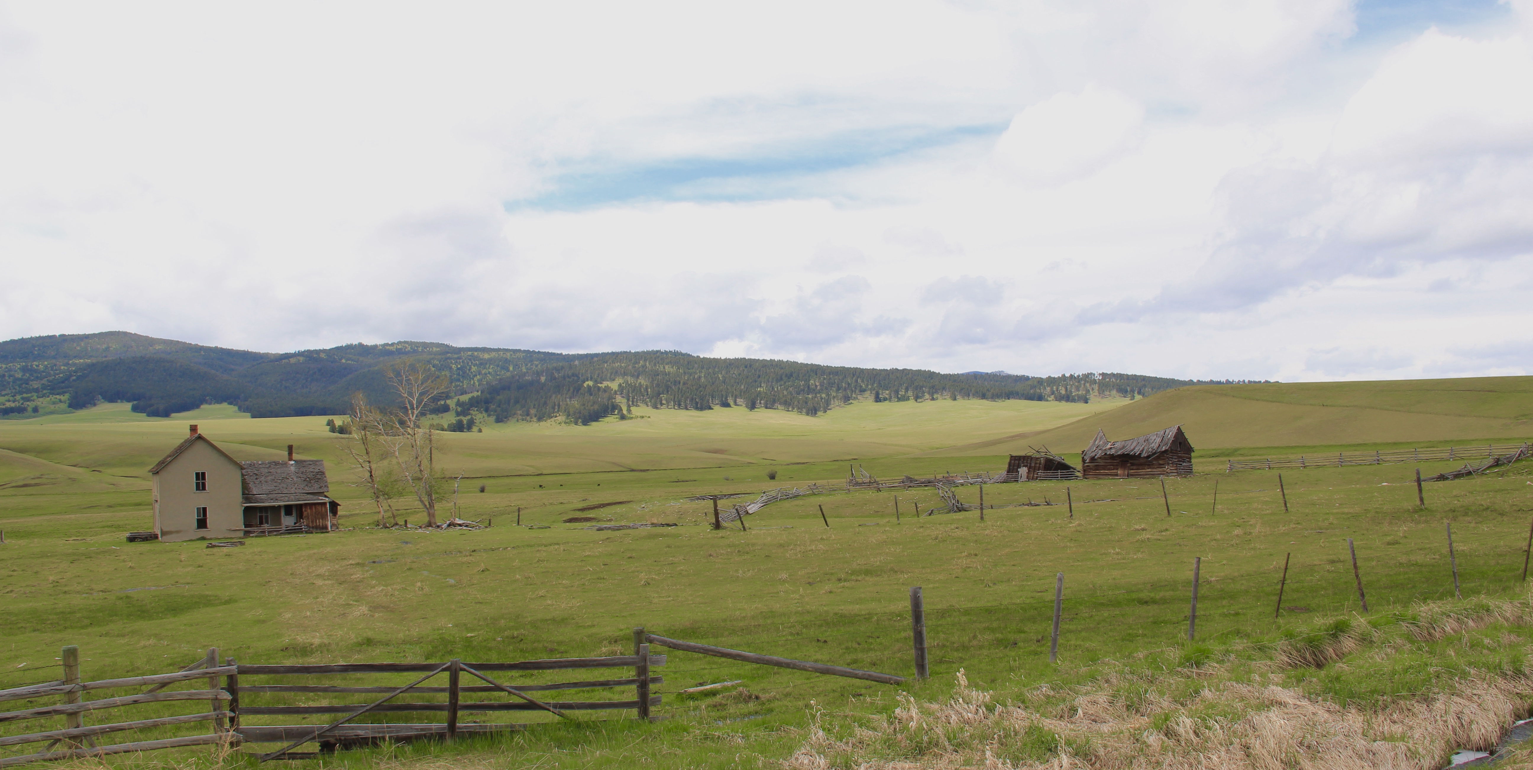 Abandoned farm landscape, s MT 141, Powell Co