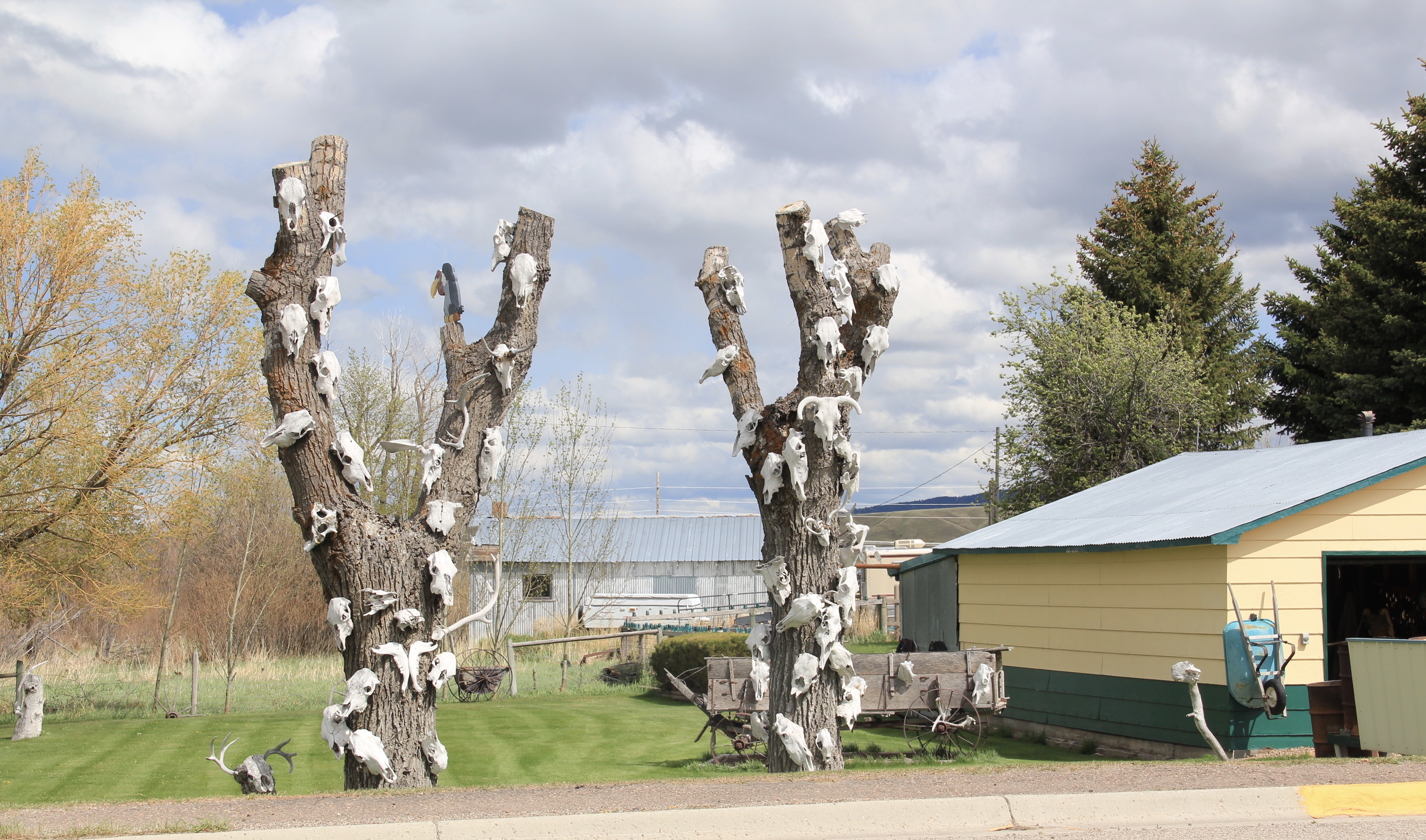 Yard art, Hall, US 10A, Powell co