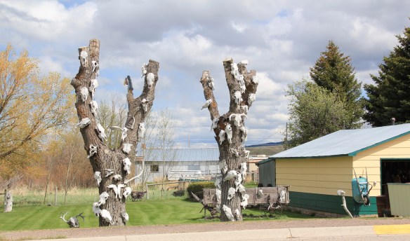 Yard art, Hall, US 10A, Powell co