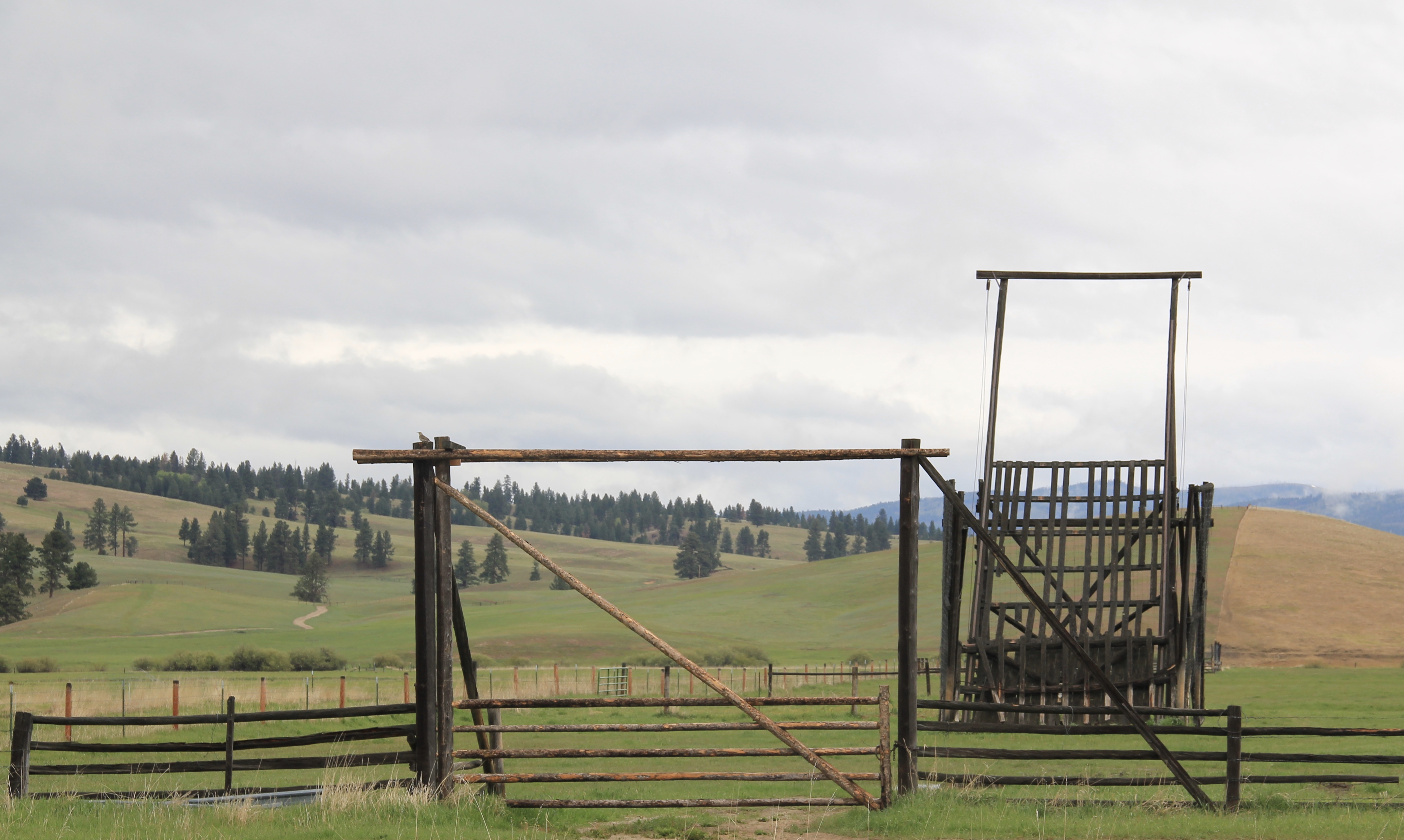 Ravalli Co, beaver slide at Sula