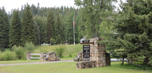 Mineral Co Haugan Savenac Nursery CCC 13