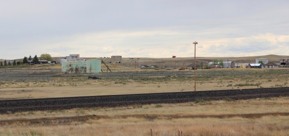 Toole Co Kevin 7 oil