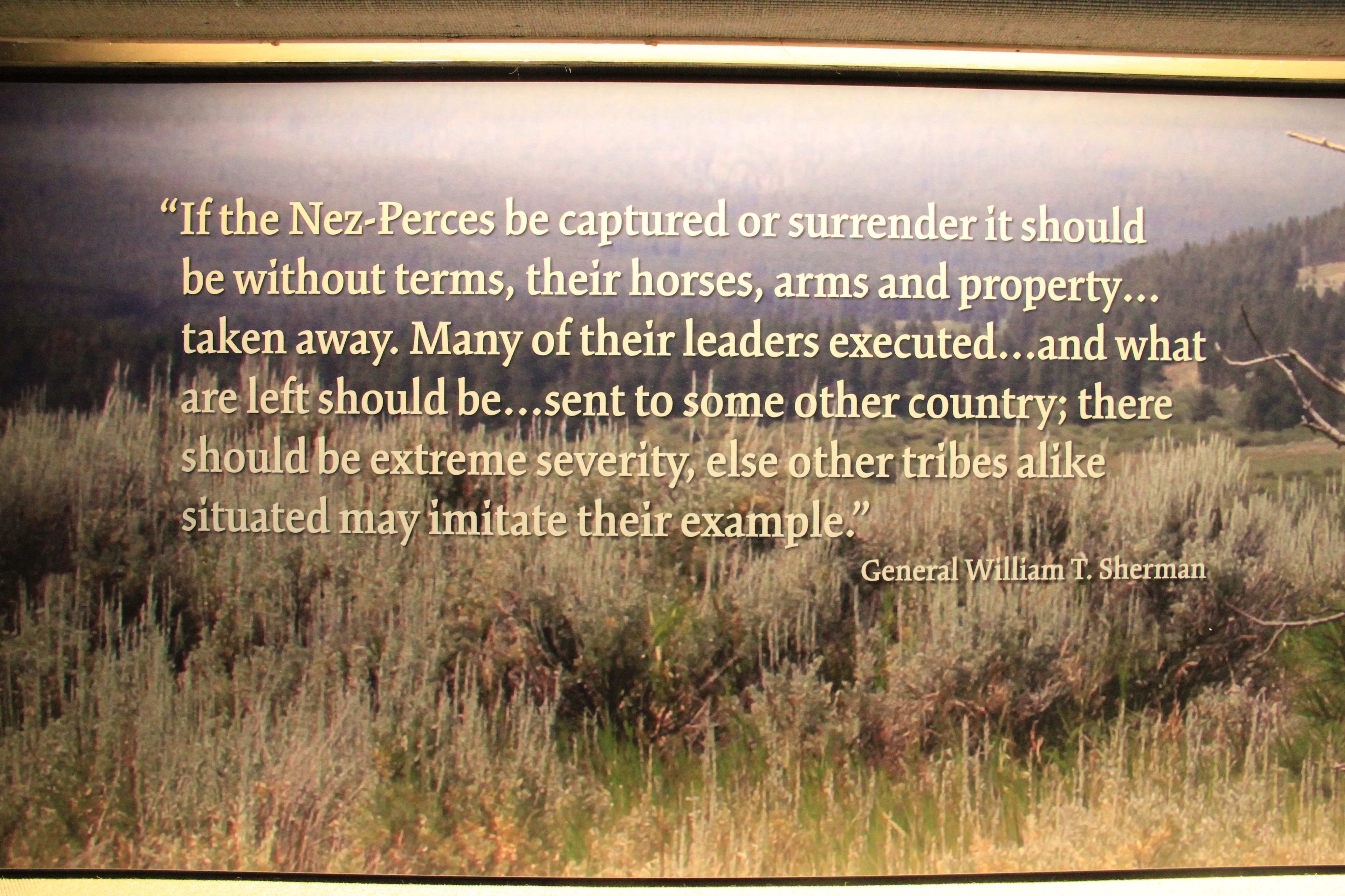 Beaverhead Co, Big Hole Battlefield 6