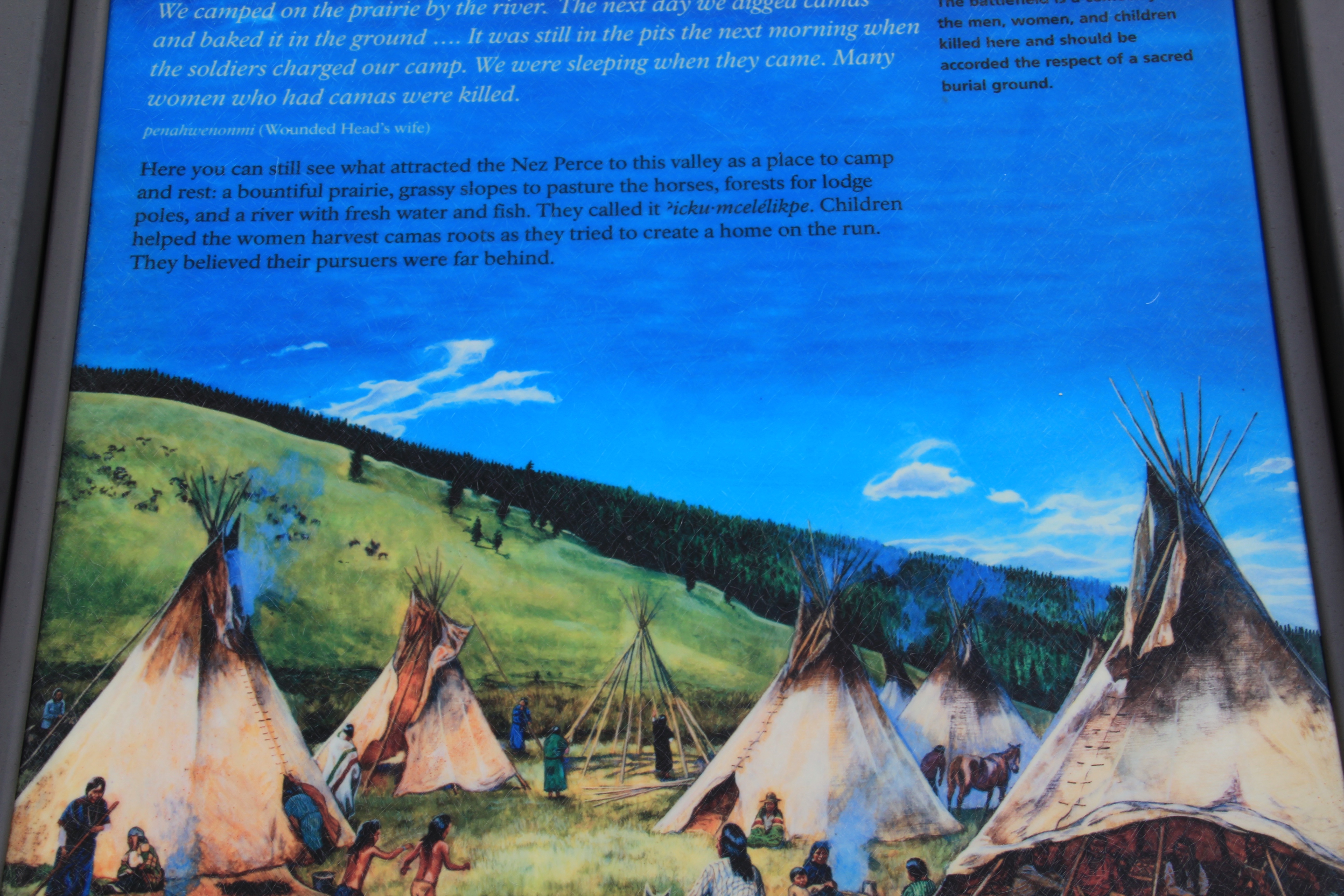 Beaverhead Co, Big Hole Battlefield 7