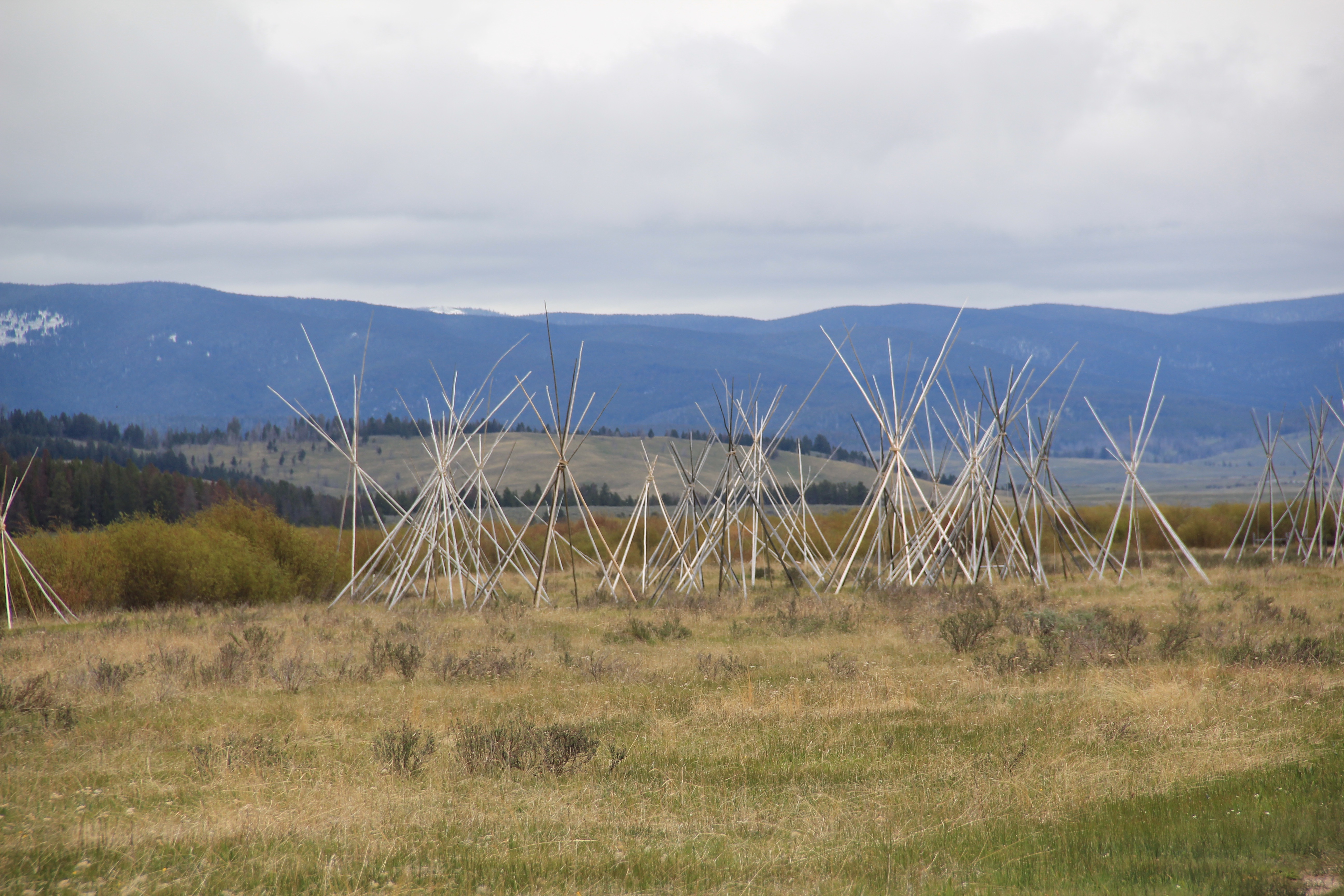Beaverhead Co, Big Hole Battlefield 9