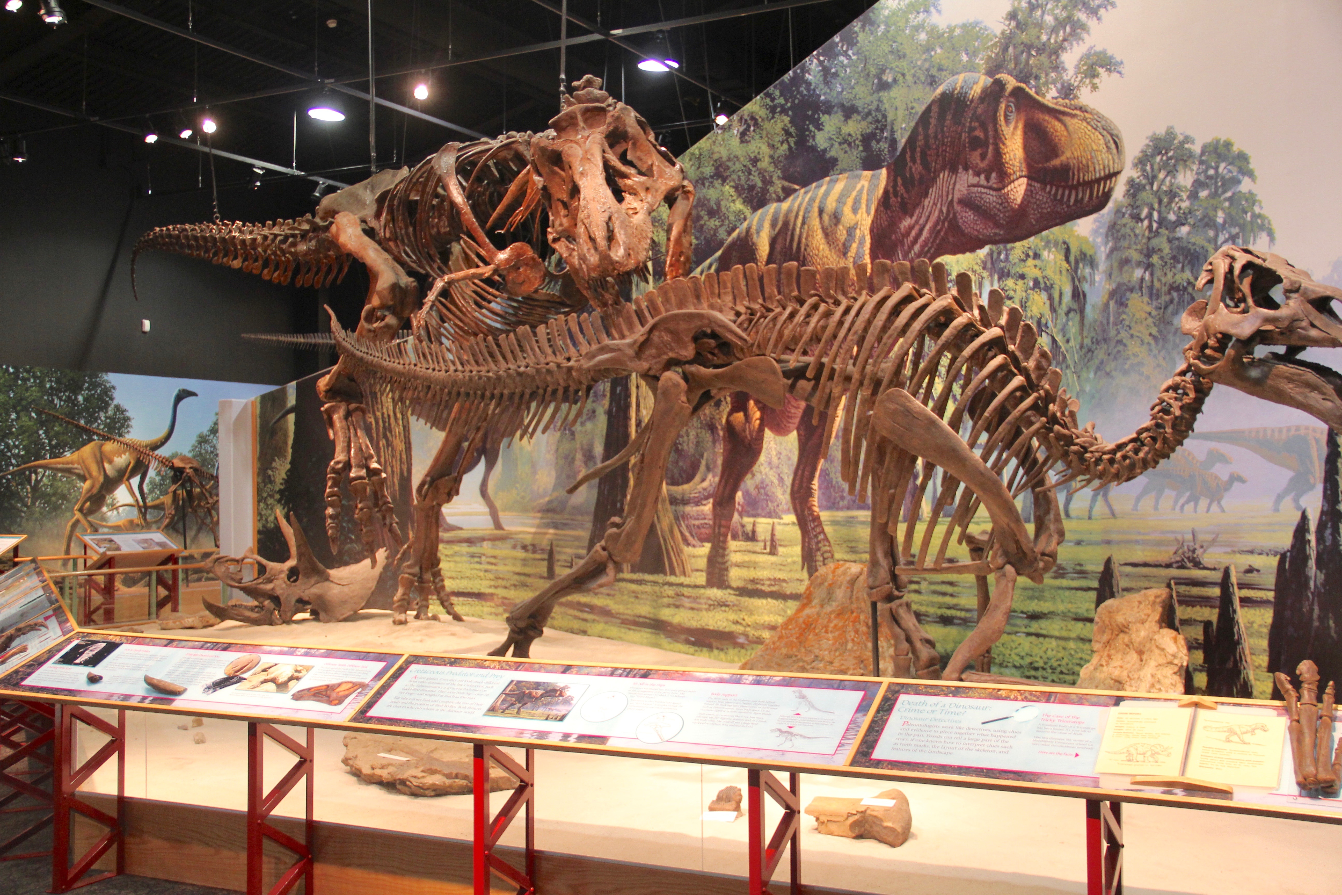 Valley Co Fort Peck Dam Reservoir 20