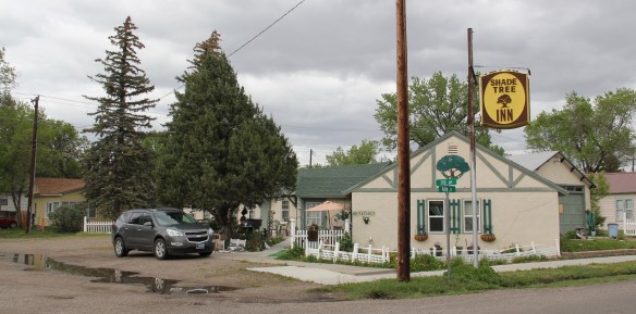 Forsyth Rosebud Co 5