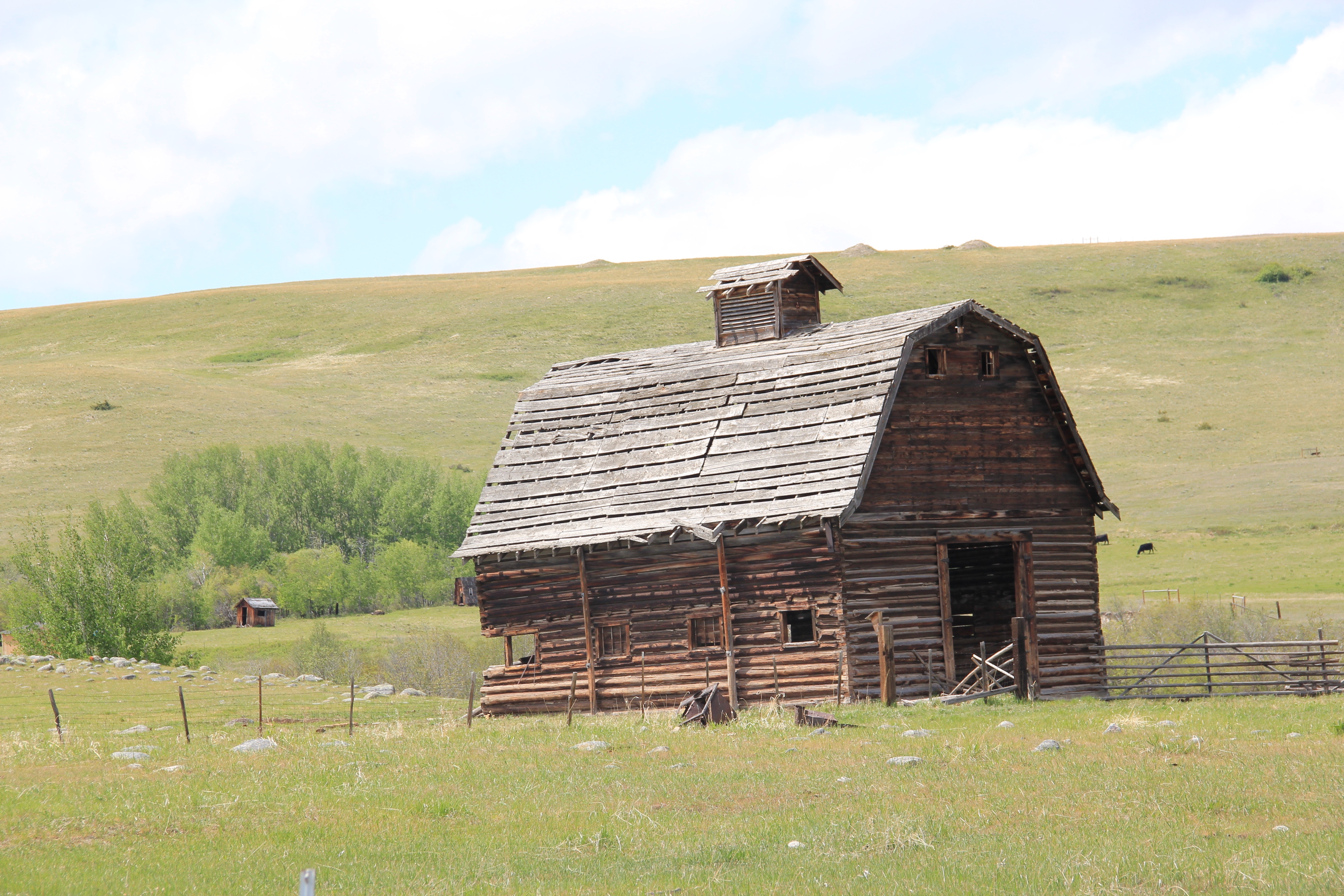 Log barn E of Pioneer, Powell Co 2