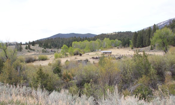 Sheep Creek homestead, Birch Cr Rd
