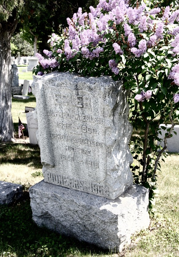 MT Lewis and Clark County Helena Forestvale Cemetery 10