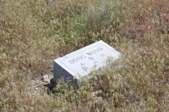 MT Lewis and Clark County Helena Forestvale Cemetery 42