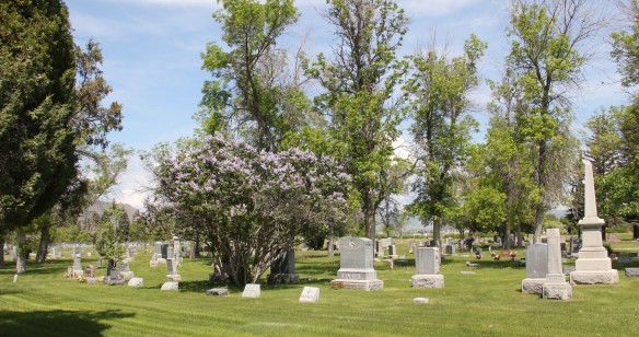 MT Lewis and Clark County Helena Odd Fellows Cemetery 6