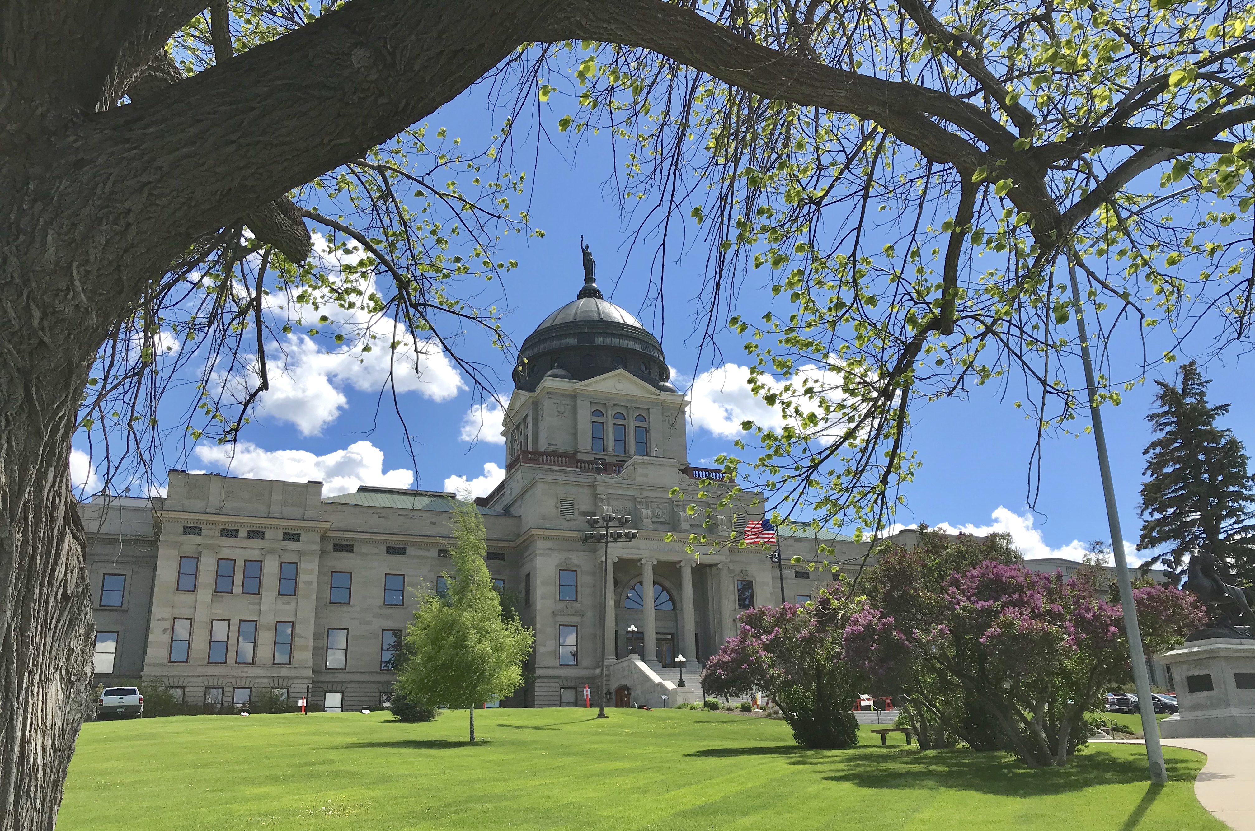 49D25B44-AC7D-4CE9-9EE2-97B9307692D1