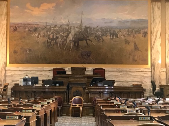 91B8EF64-EFDF-4735-BFF5-8116A944041C