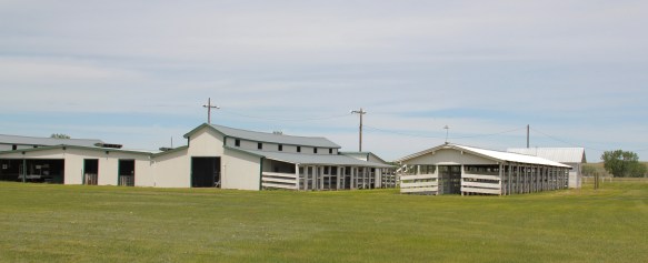 Phillips Co Dodson Phillips Co Fairgrounds 4